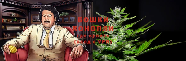 соль ск Бронницы
