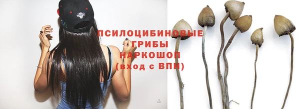шишки Бугульма