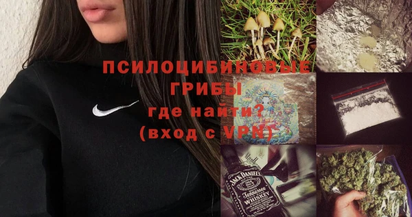 прущая мука Богородск